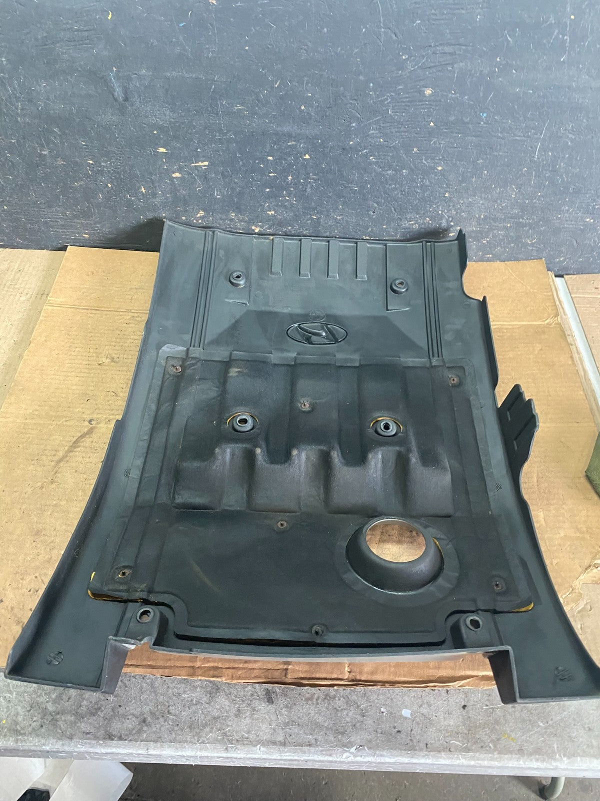 2001 Hyundai XG Series Top Lid Engine Cover 29240-39001 Q8489 DG5
