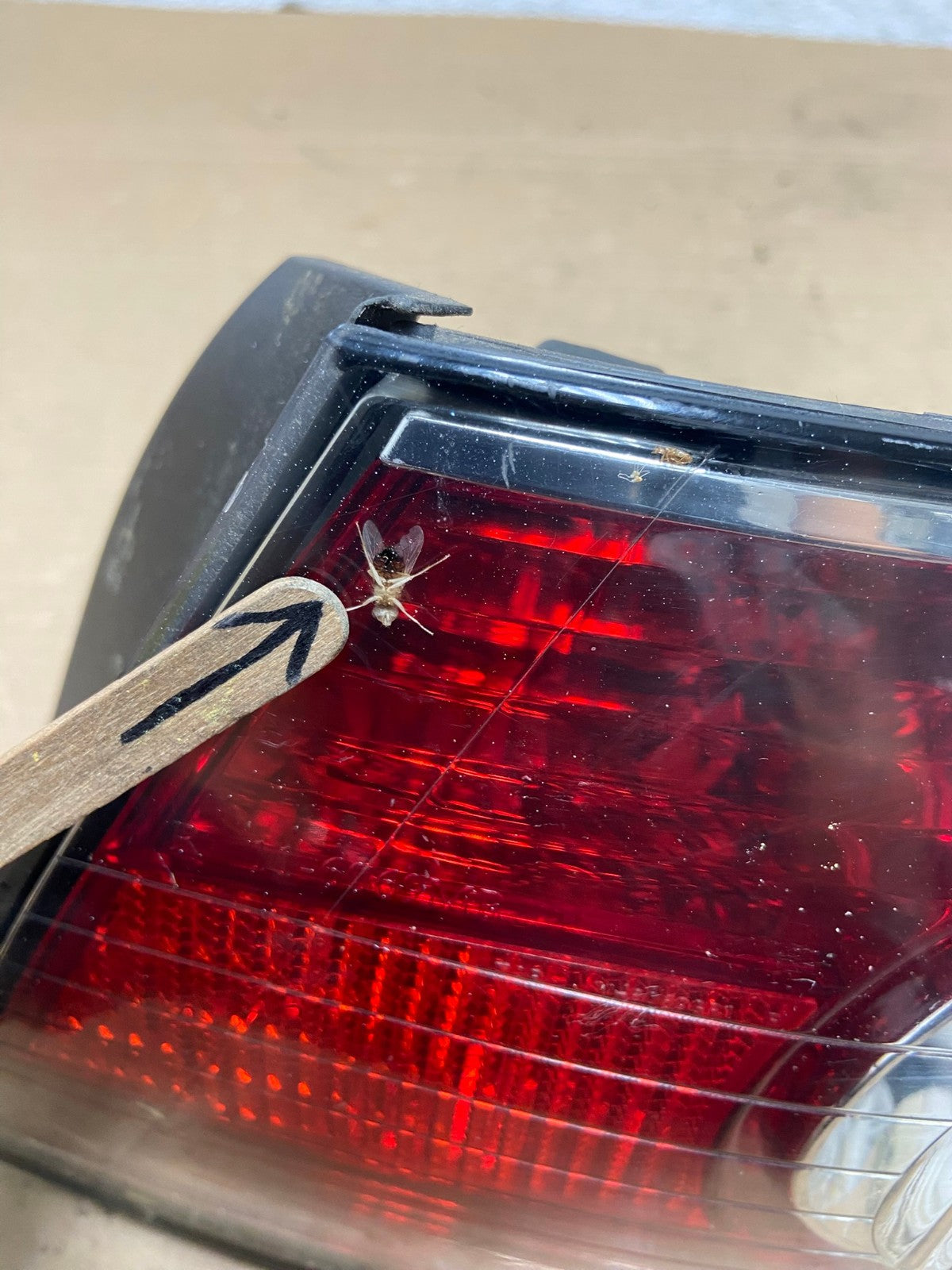 2002 to 2004 Lexus ES300 ES330 Right Passenger Side Tail Light AG9028 LK5