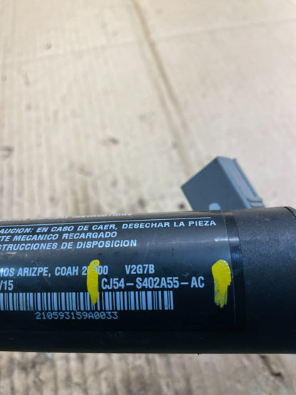 2013 - 2016 Ford Escape Tailgate Power Hatch Lift Right Strut x4066 DG6