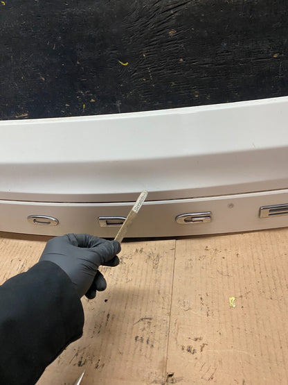 2011 to 2018 Dodge Grand Caravan Tail Gate Trim Molding With Camera OEM W2486 DG7