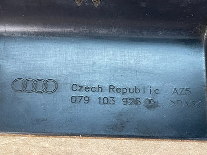 2011-2012 Audi D4 A8L A8 4.2L Engine Black Cover Trim 079103925 AF5303 DG6