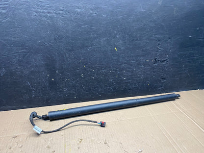2017 to 2020 Jaguar F-Pace OEM Trunk Lid Spindle Lift Sylinder Strut  M1304 DG2