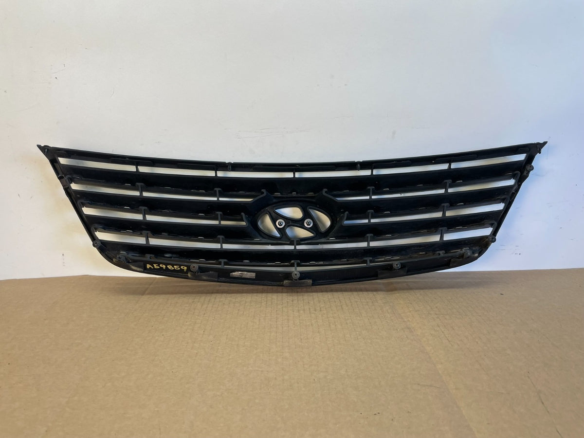 2006 to 2009 Hyundai Azera Front Upper Grill Grille W/Emblem AG9859 DG4