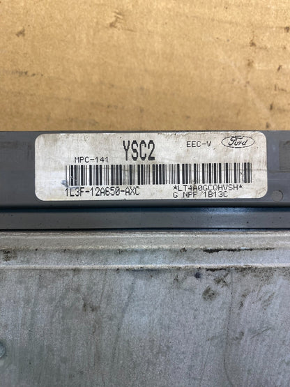 2002 Ford F150 F250 5.4L Engine Control Computer 1L3F-12A650-AXC AB7382 DG2