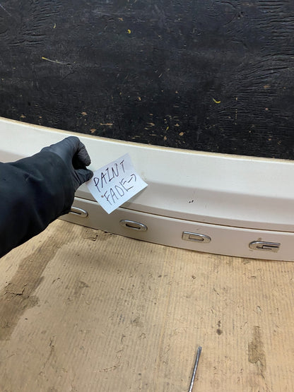 2011-2018 Dodge Grand Caravan Rear Tail Gate Trim Molding Panel OEM X3287 DG9
