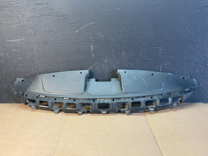 2017 - 2018 Hyundai Elantra Front Bumper Grille Closure Panel Oem AC2092 DG0