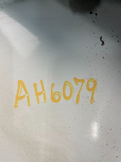 2006 - 2009 Land Range Rover Sport Rear Trunk Light Lift Gate Spoiler ah6079 DG6