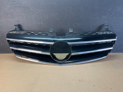 2006-2008 Mercedes W251 R-Class R350 R500 Front Upper Grill Grille af5196 DG0