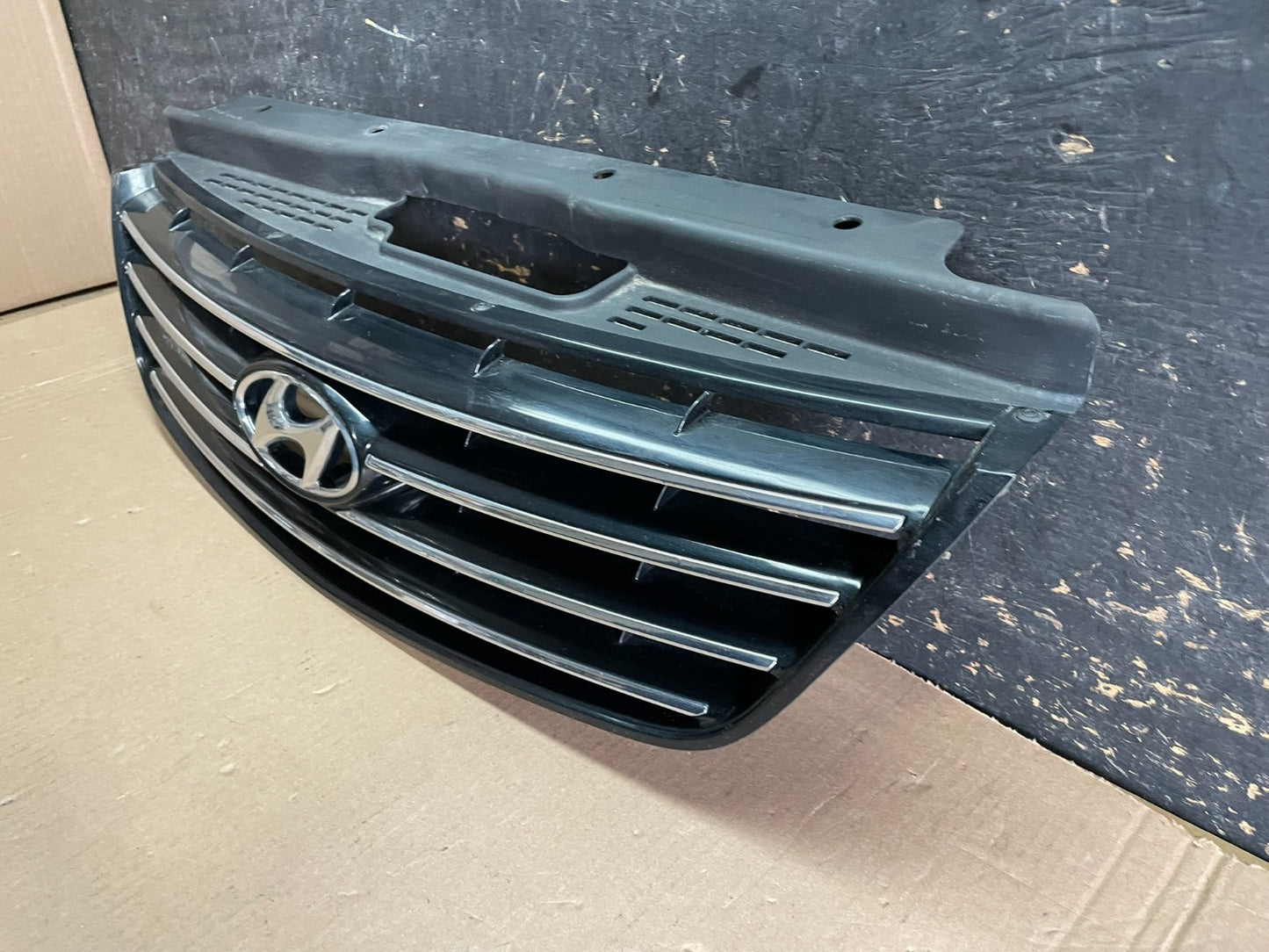 2006 to 2009 Hyundai Azera Front Upper Grill Grille W/Emblem OEM  AA1925 DG2