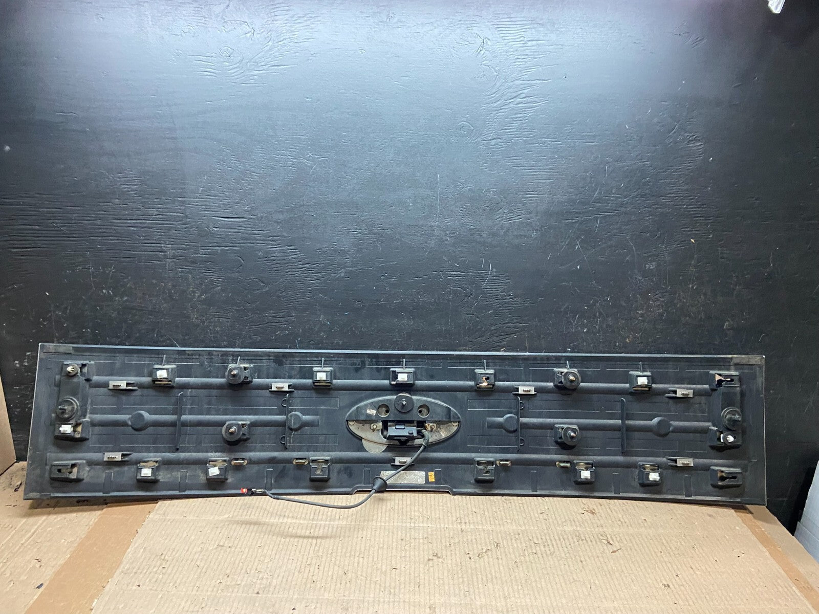 2009-2012 Ford Flex Trunk Lid Hatch Molding Trim Panel W/Camera H6620 PS7