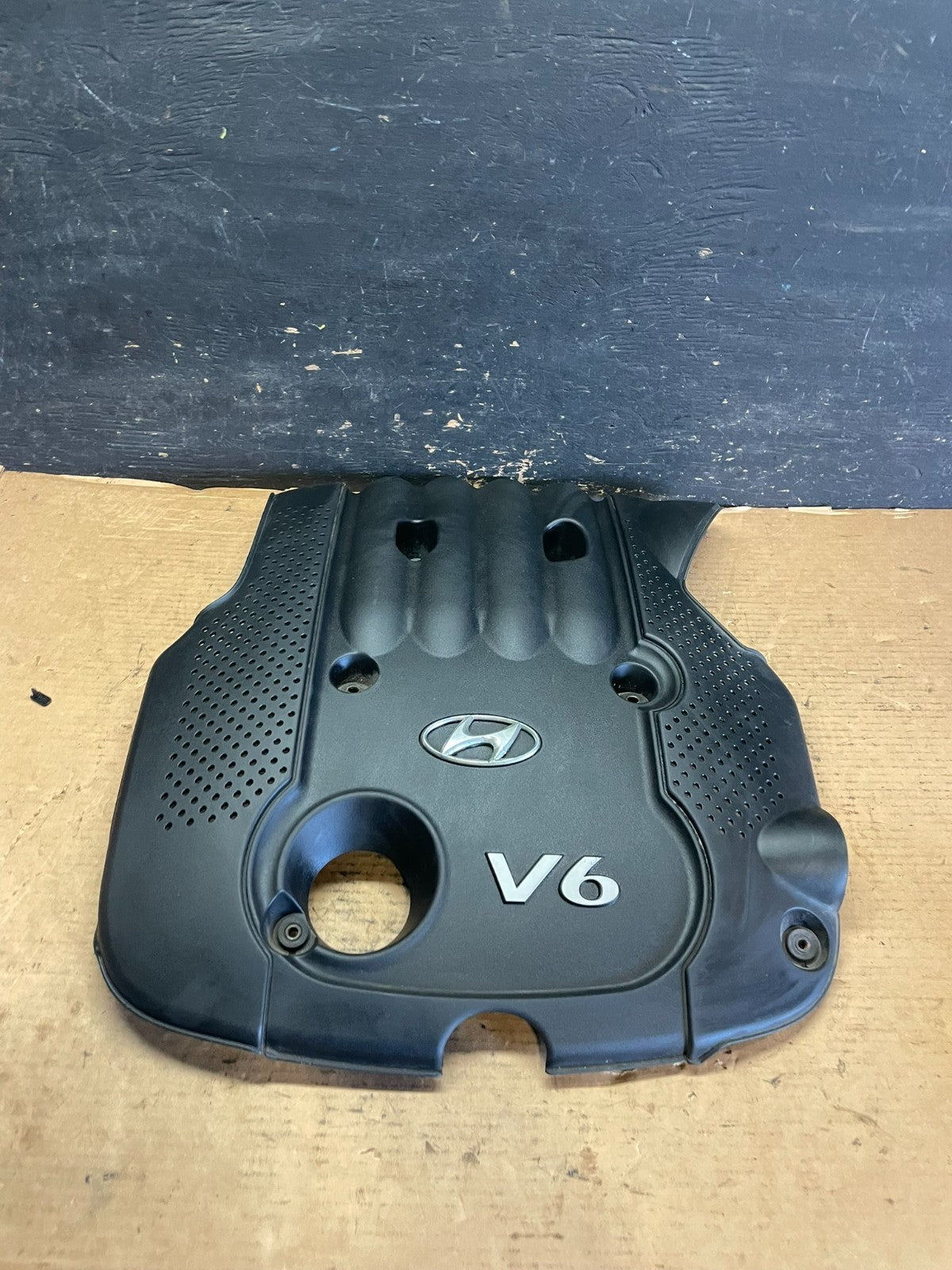 2006 - 2009 Hyundai Santa Fe V6 Engine Motor Cover OEM s1141 DG0