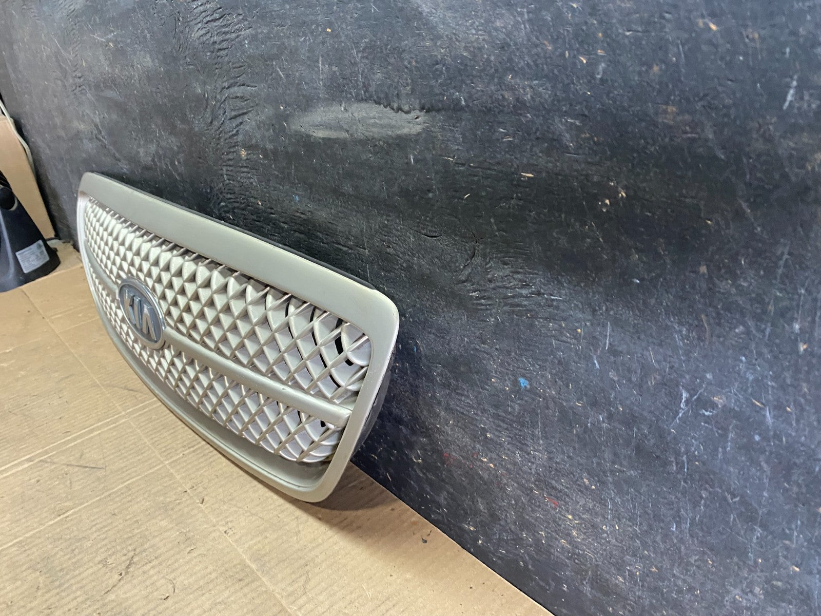 2004 to 2005 Kia Sedona Front Upper Grill Grille OEM r7819 DG1
