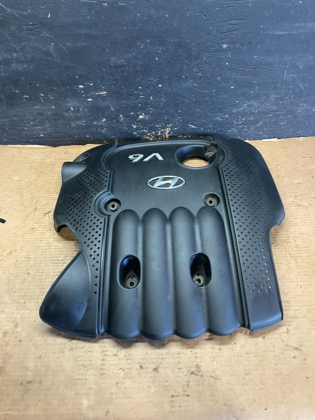 2006 - 2009 Hyundai Santa Fe V6 Engine Motor Cover OEM s1141 DG1