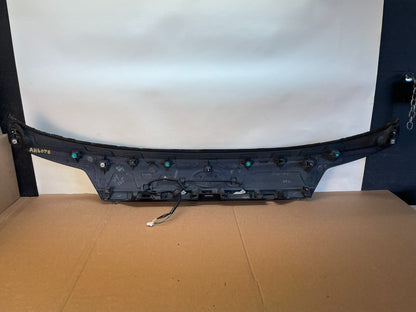 2010-2014 Subaru Outback Rear Liftgate Trunk Panel Trim Molding ah6078 DG5