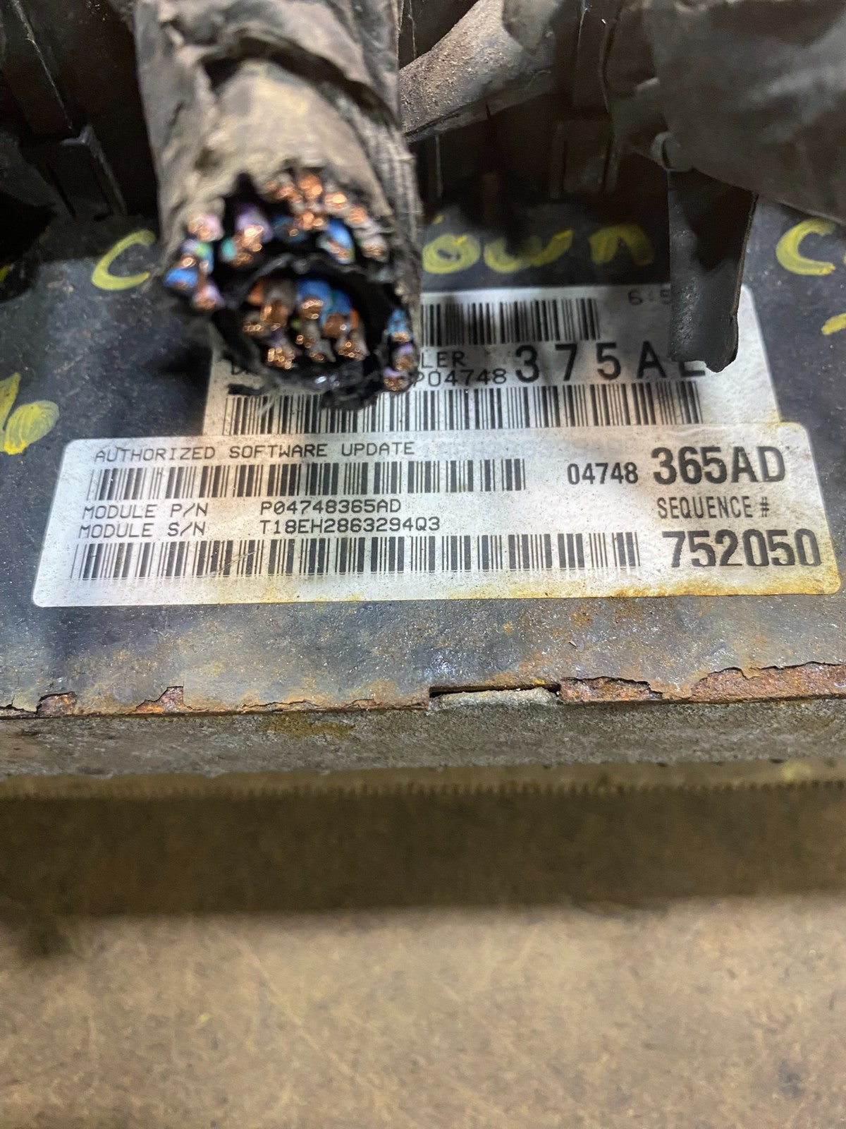 2004 Dodge Caravan Town & Country 3.8L Engine Computer ECU OEM aa2833 DG4