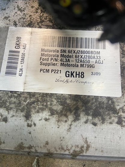 2004 Ford F-150 5.4L Engine Control ECU Computer Module 4l3a-12a650-agj Z8606 DG4