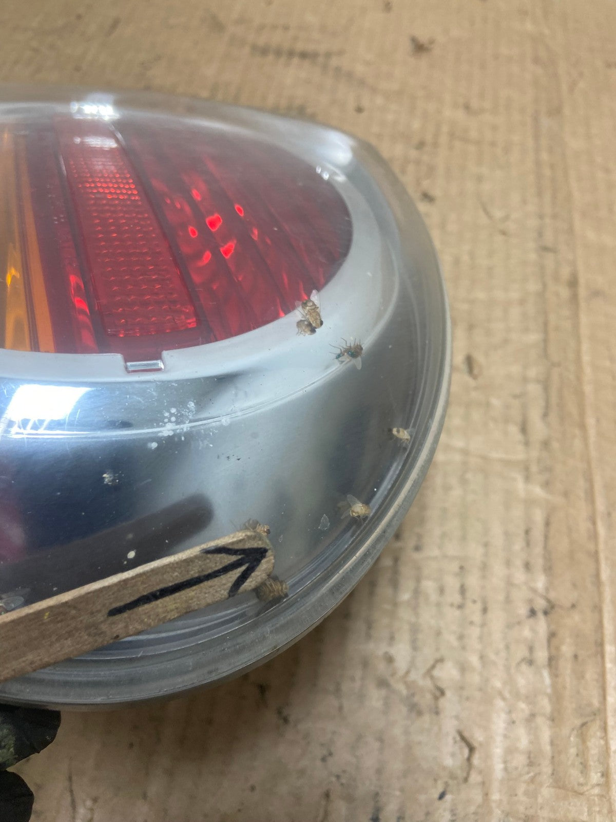 2002 2003 Nissan Maxima Right Passenger RH Side Tail Light AI6810 LK4