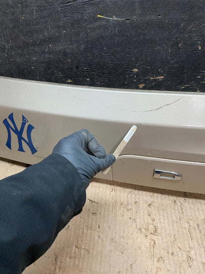 2011 to 2018 Dodge Grand Caravan Tail Gate Trim Molding With Camera OEM X0131 DG5