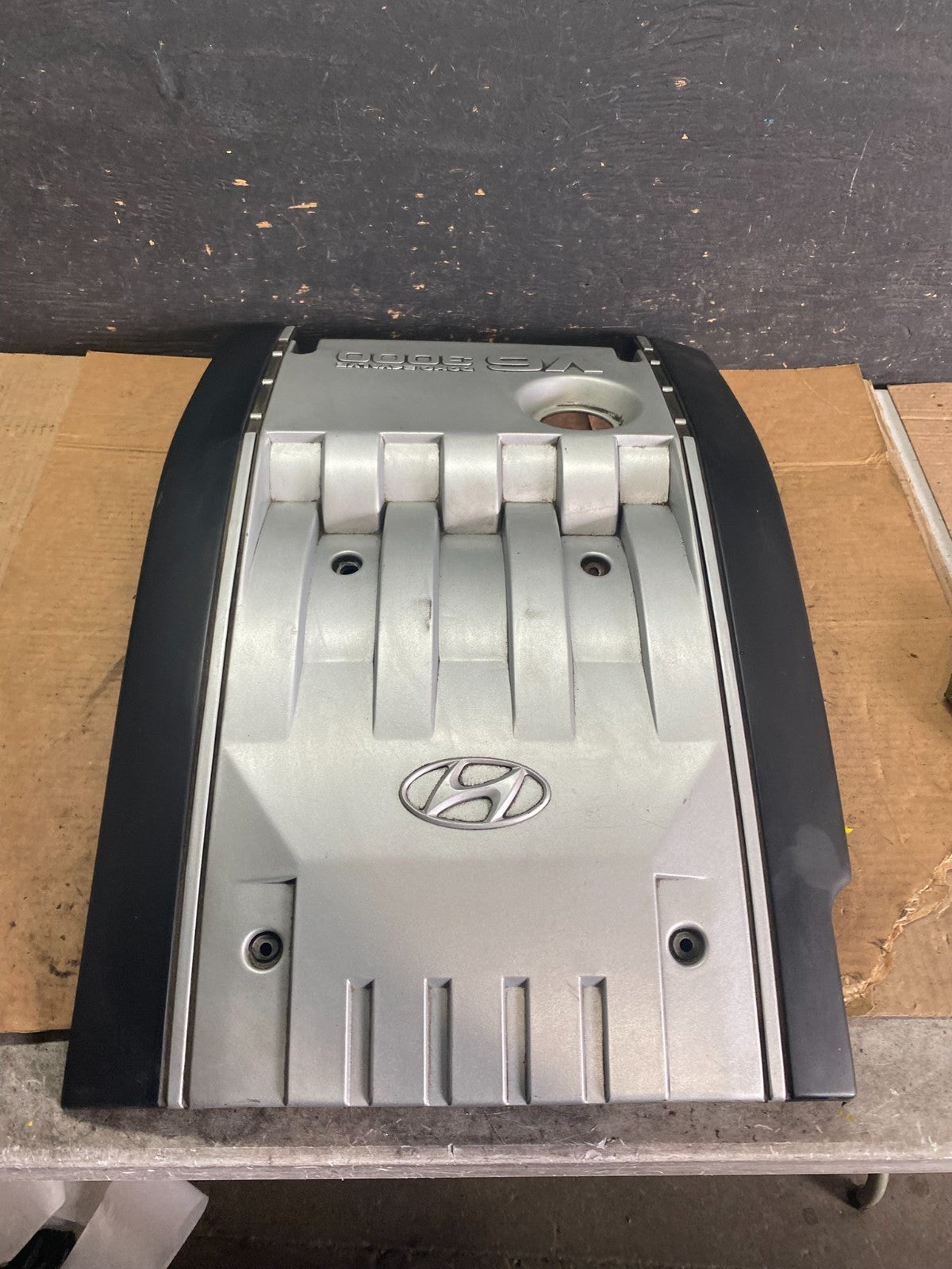 2001 Hyundai XG Series Top Lid Engine Cover 29240-39001 Q8489 DG1