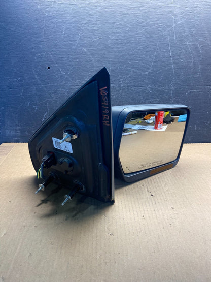 2004 to 2008 Ford F150 Right Passenger RH Side View Door Mirror AF9190 DG8
