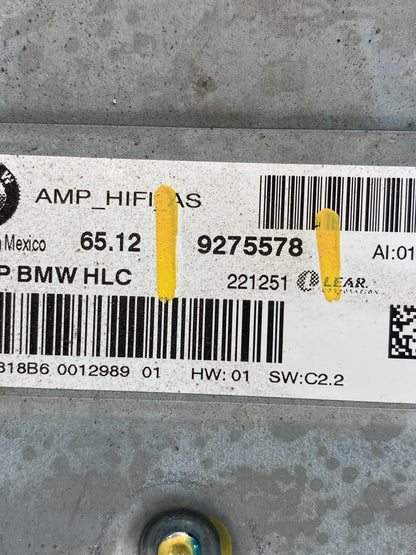 2011-2014 BMW X3 HiFi Lear Radio Audio Amplifier Amp AD7313 DG2