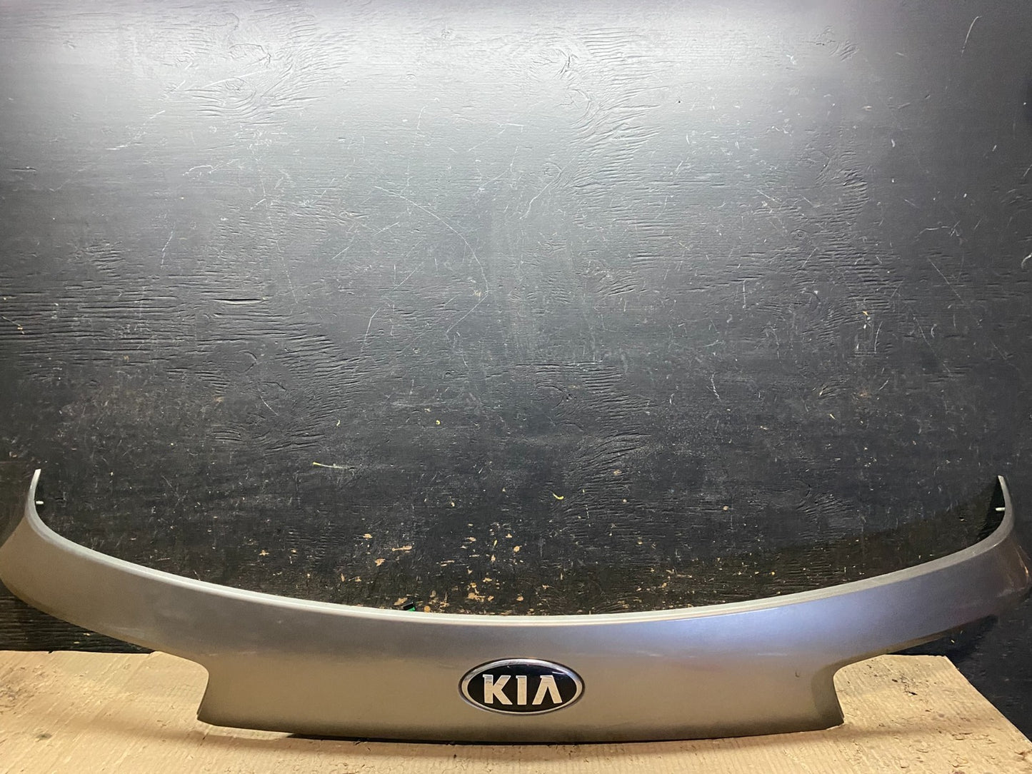 2016 to 2020 Kia Sorento Rear Trunk Liftgate Camera Cover Panel Oem X8248 DG0