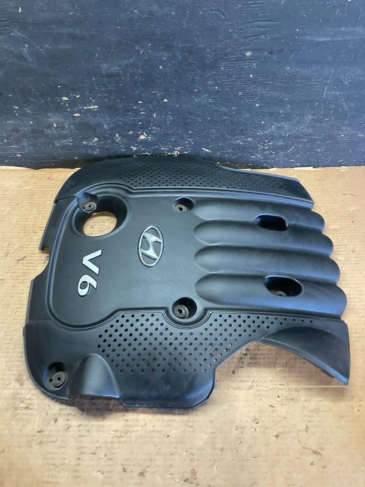 2006 - 2009 Hyundai Santa Fe V6 Engine Motor Cover OEM s1141 DG2