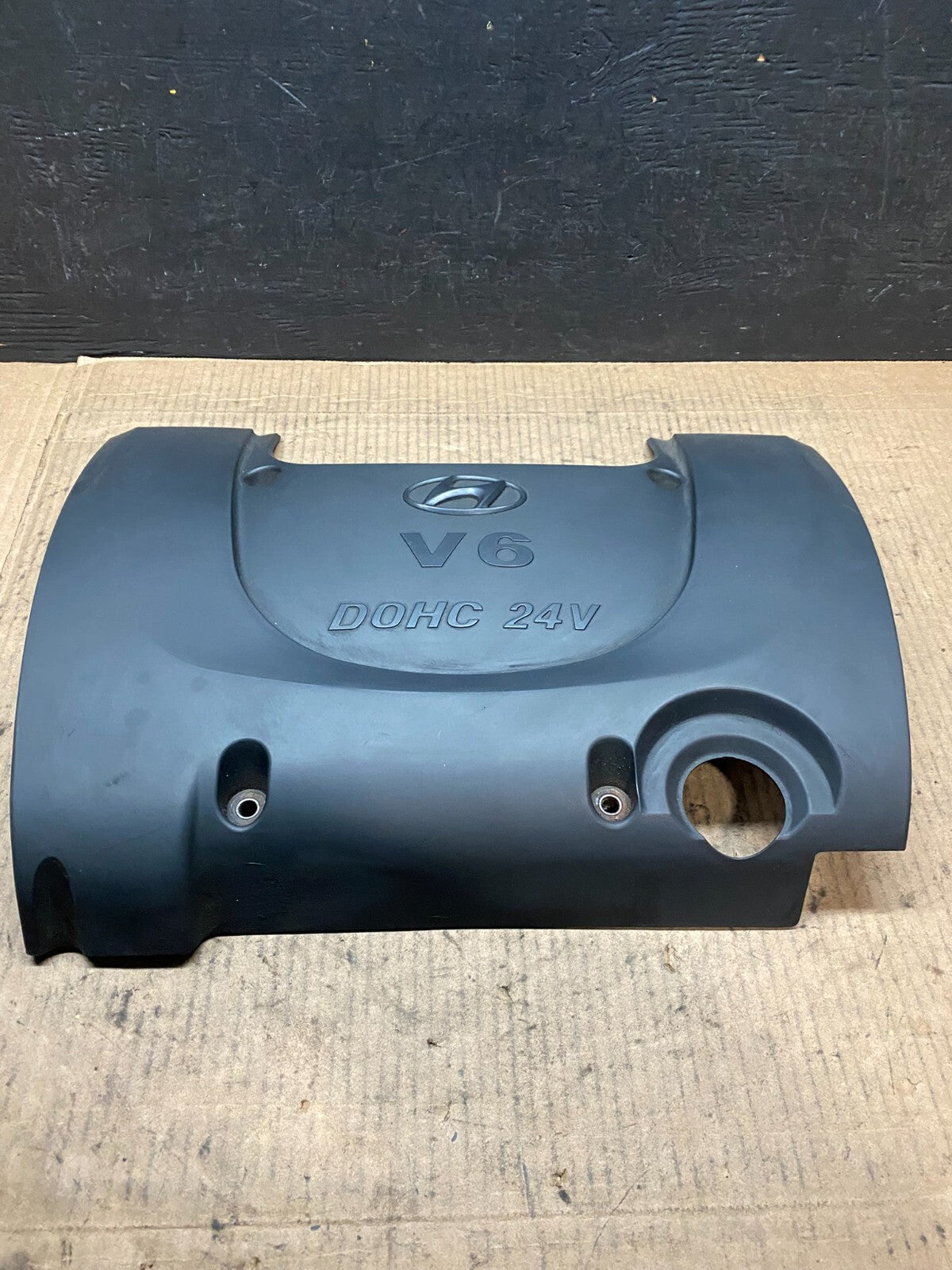 1999 to 2005 Hyundai Sonata Engine Trim Cover G2930 DG10