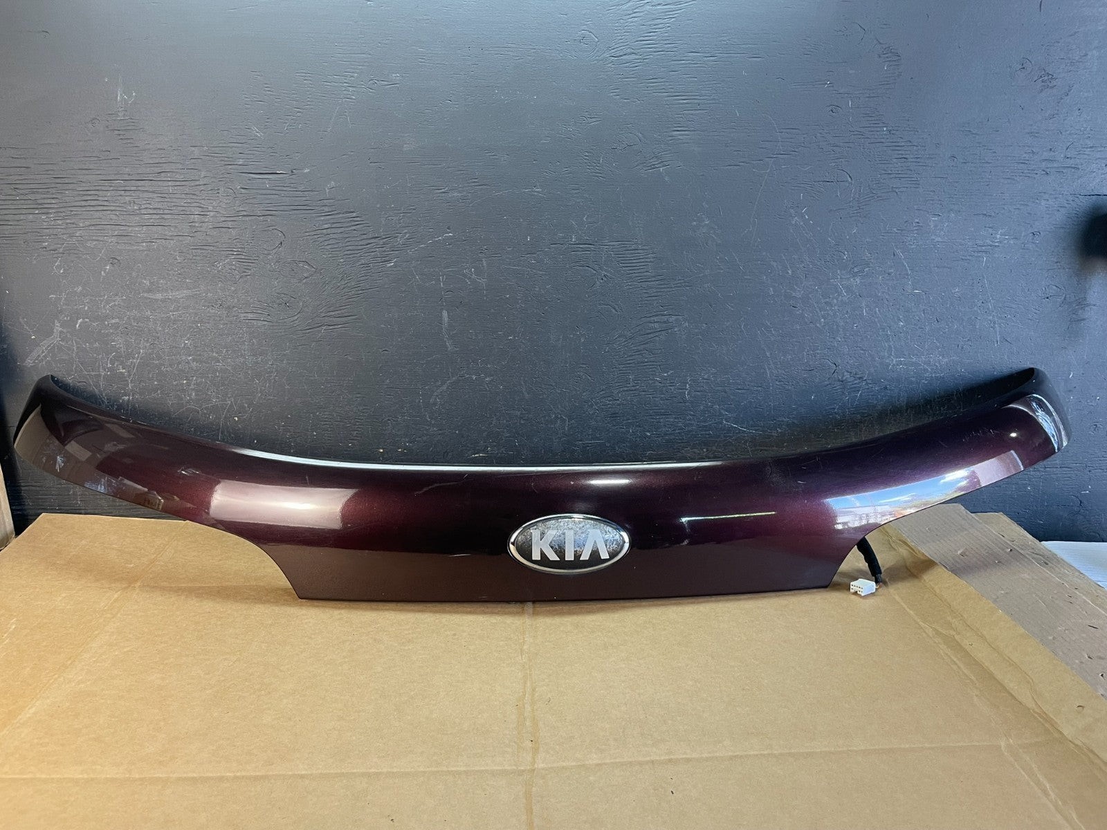 2016 to 2020 Kia Sorento Rear Trunk Liftgate Camera Cover Panel AE0790 DG0