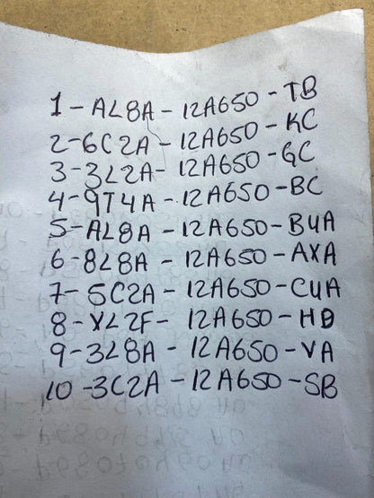 Mix of 10 Ford ECM Engine Computer Module AC42482