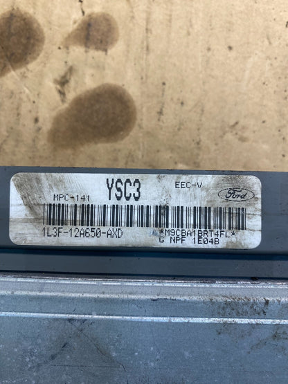 2001 Ford F-150 F150 5.4L Engine Control Unit ECU Computer Module ab7428 DG2