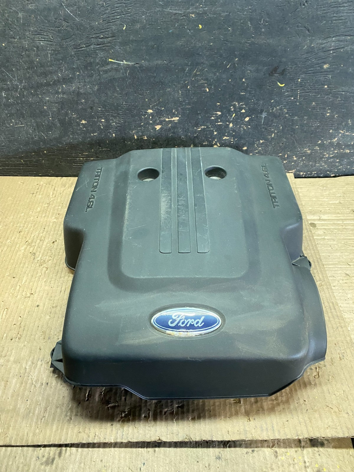 2003 2004 Ford Expedition 4.6L Engine Top Lid Motor Cover OEM w6274 DG0