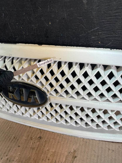 2004 to 2005 Kia Sedona Front Upper Grill Grille L9634 PS4