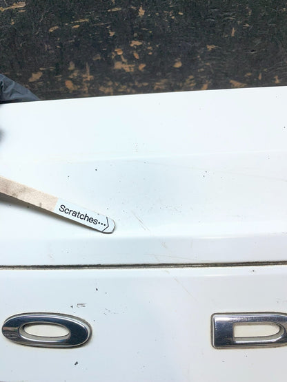 2011-2018 Dodge Grand Caravan Rear Tail Gate Trim Molding Panel OEM Y1764 DG4