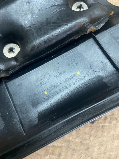 2006 to 2008 Kia Sedona V6 3.8L Engine Motor Cover O3286 PS8