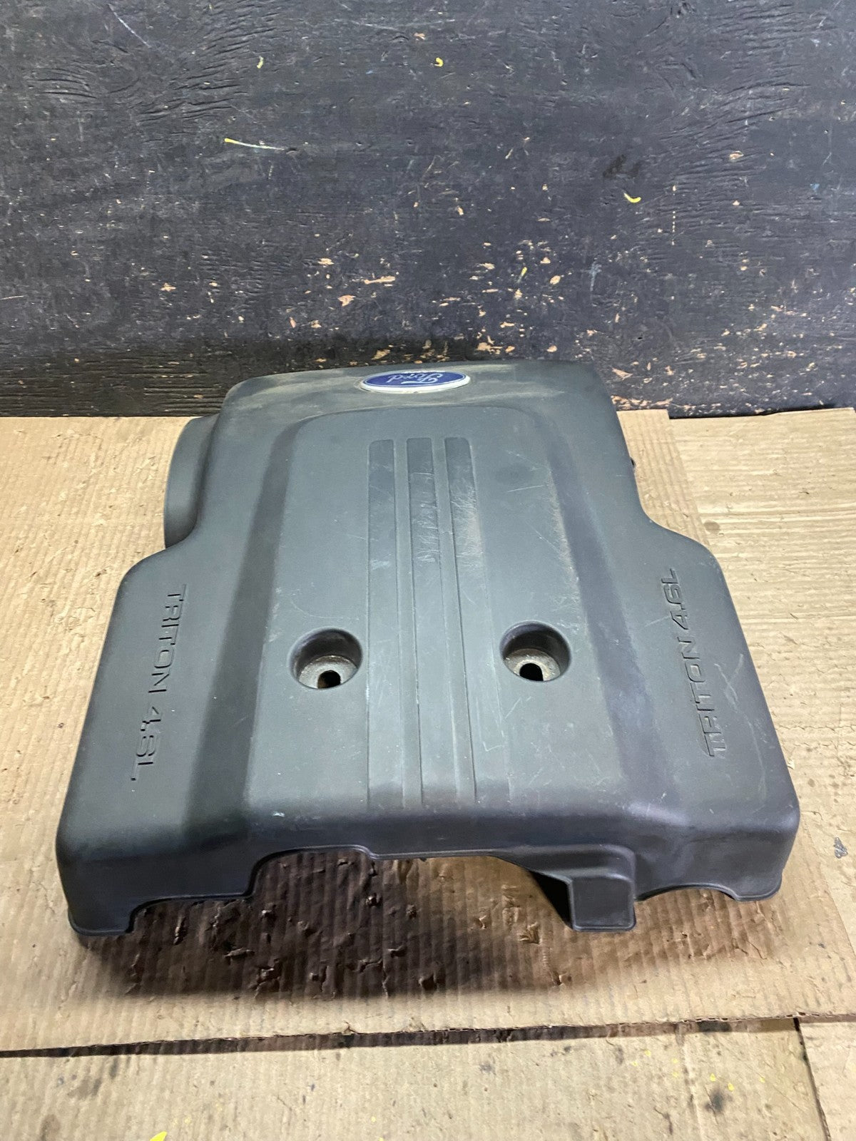 2003 2004 Ford Expedition 4.6L Engine Top Lid Motor Cover OEM w6274 DG1