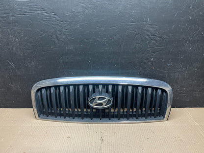2001 to 2005 Hyundai Sonata Front Upper Grille Grill Bumper i7548 OEM DG0