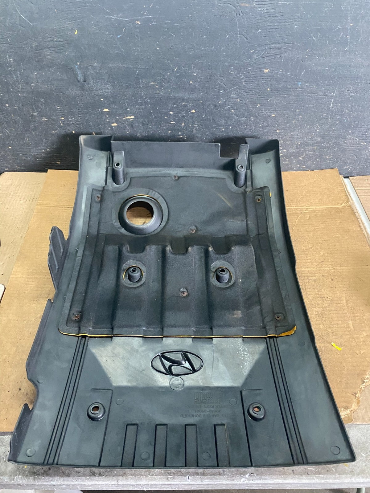 2001 Hyundai XG Series Top Lid Engine Cover 29240-39001 Q8489 DG4