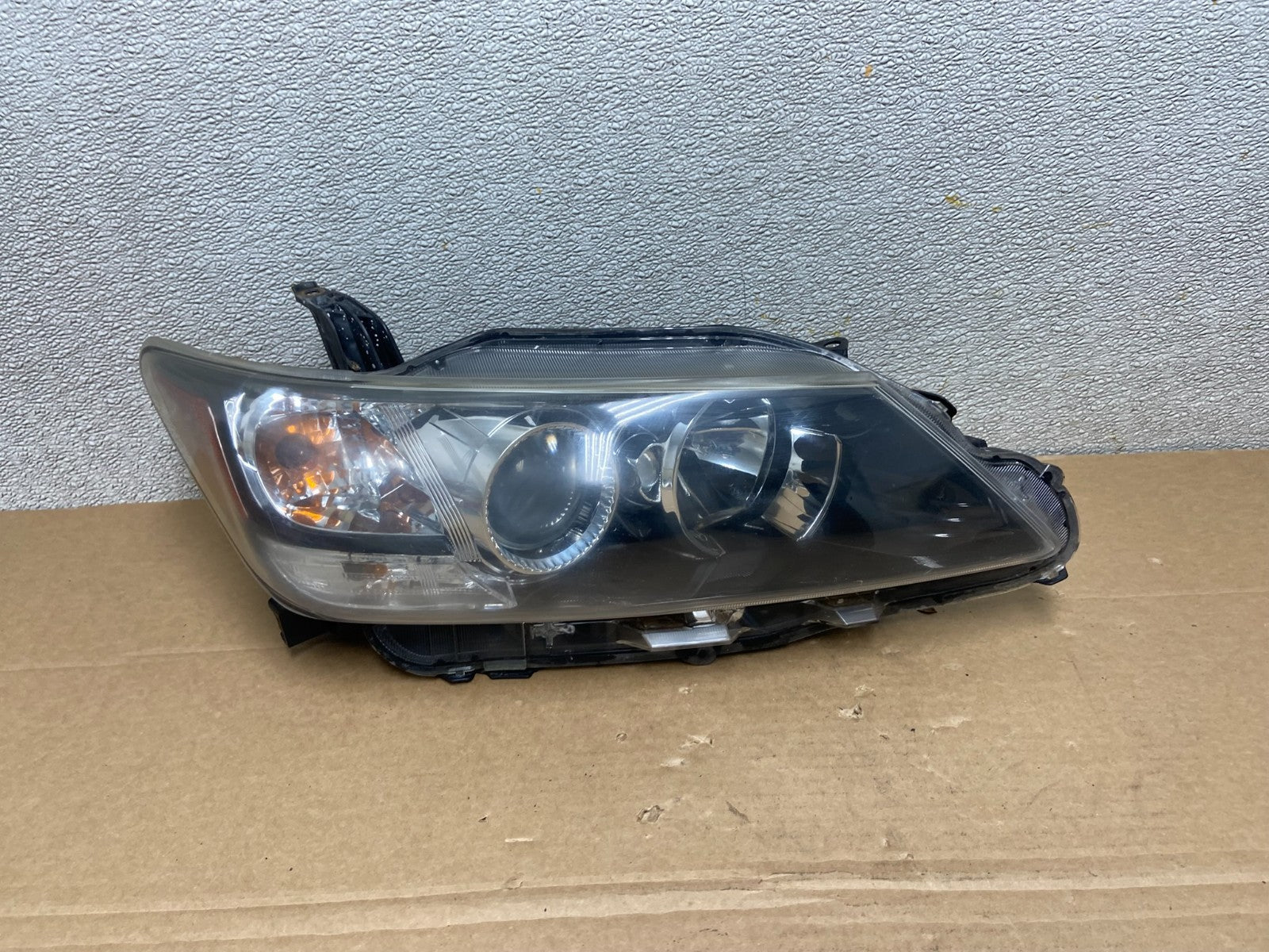 2011 2012 2013 Scion Tc Right Passenger Rh Side Halogen Headlight Oem Y6972 DW0