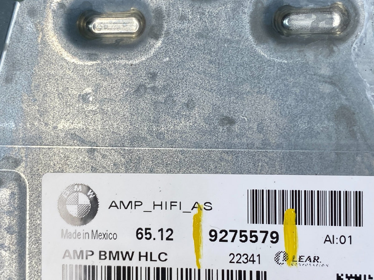 2007-2013 BMW X5 Top HiFi Lear Radio Audio Amplifier Amp S6216 DG5