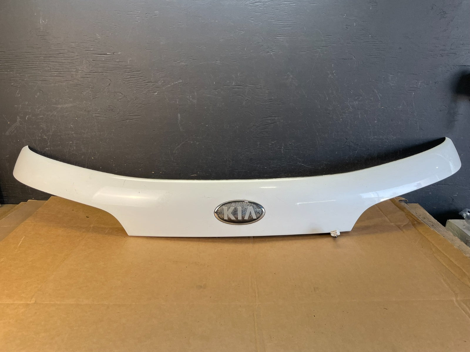 2016 to 2020 Kia Sorento Rear Trunk Liftgate Camera Cover Panel AE0868 DG0