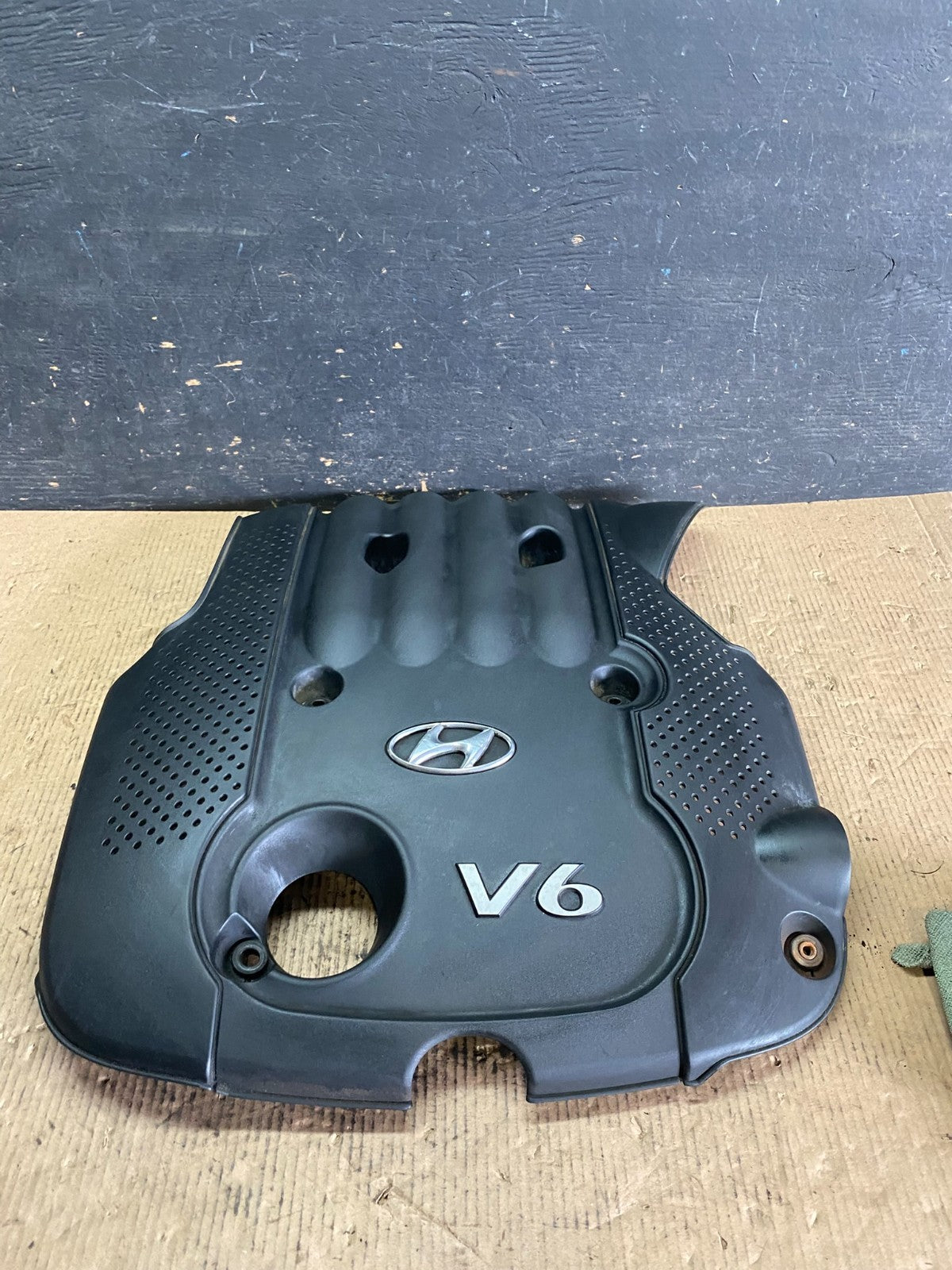 2005 - 2006 Hyundai Santa Fe V6 Engine Motor Cover OEM p5827 DG0