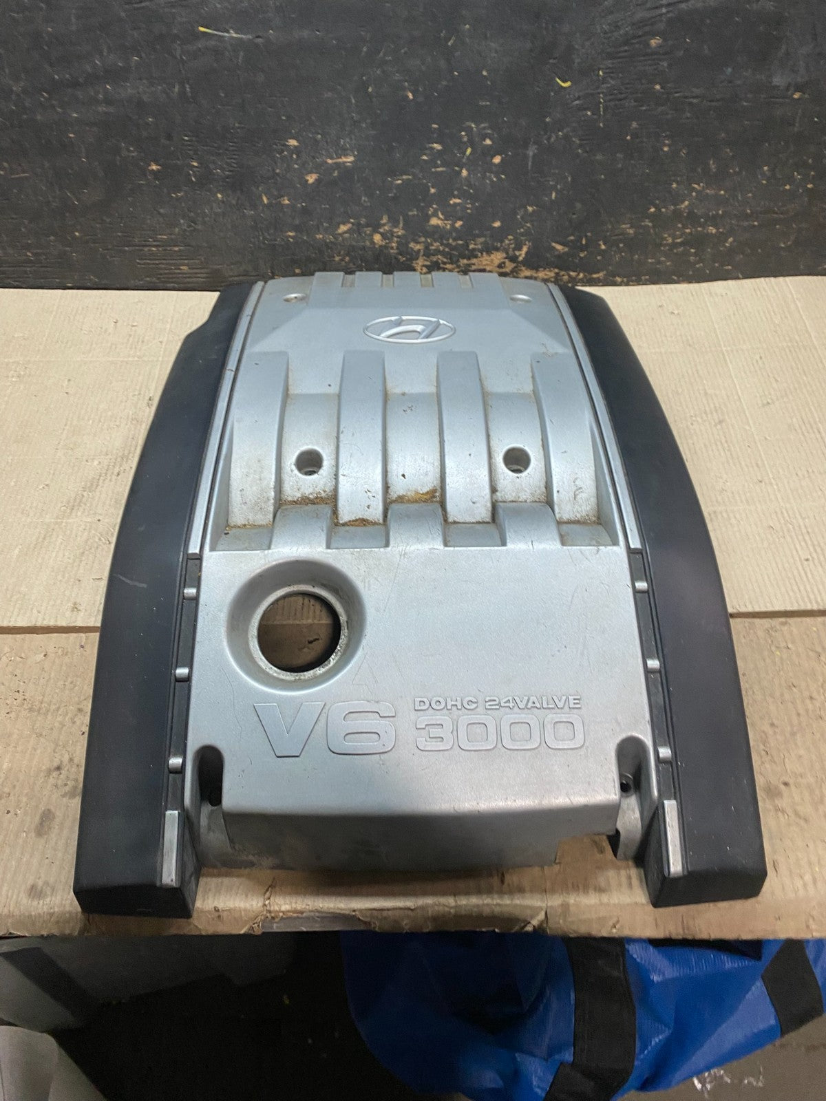 2001 Hyundai XG Series Top Lid Engine Cover 29240-39001 X2923 DG0