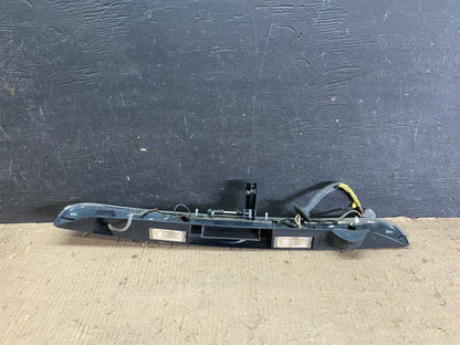 2008 to 2010 Chrysler Town & Country Tailgate Trim w/ Camera Panel OEM j1159 DG3