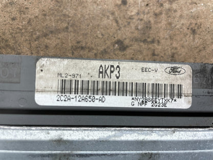 2002 Ford Van E150 4.6L Engine Control Module 2c2a-12a650-ad P7556 DG2