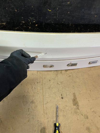 2011-2018 Dodge Grand Caravan Rear Tail Gate Trim Molding Panel OEM X3287 DG3
