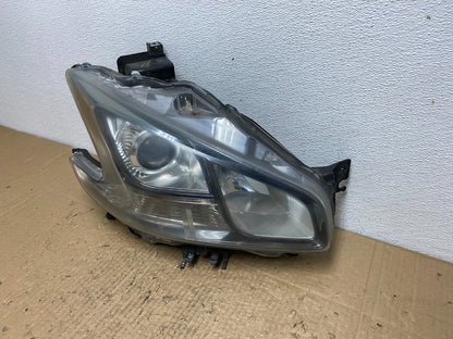 2009 - 2014 Nissan Maxima Headlight Right Passenger Xenon HID Oem AC4133 DW1