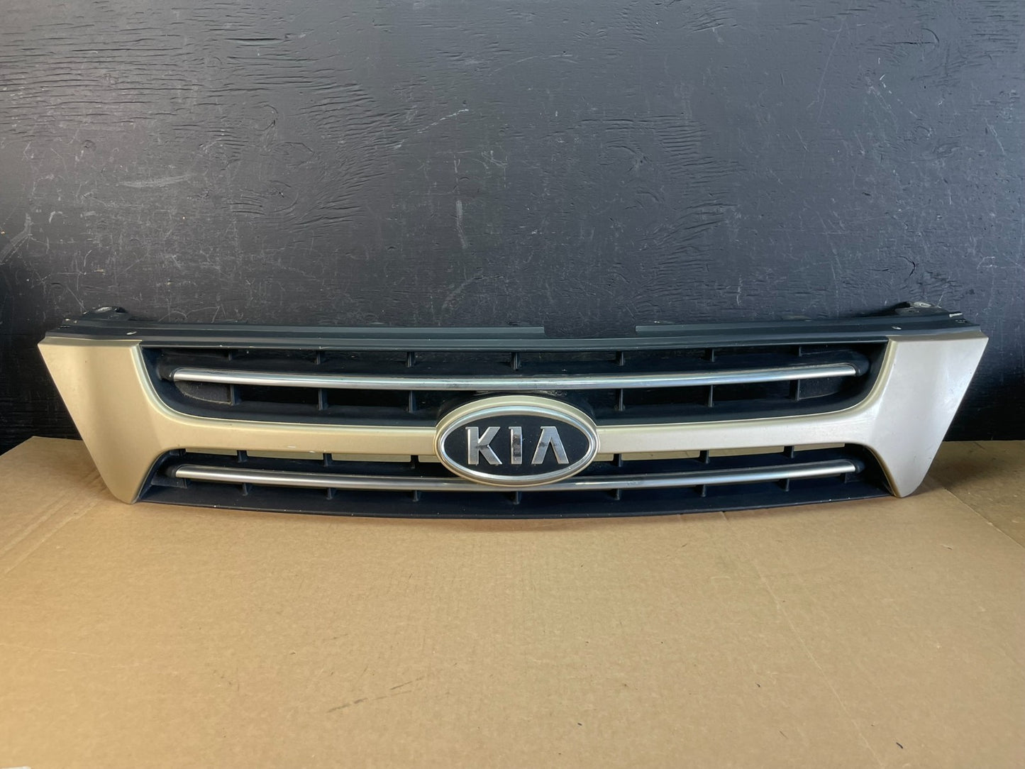 2006 to 2010 Kia Sedona Front Upper Grill Grille AC9964 DG0