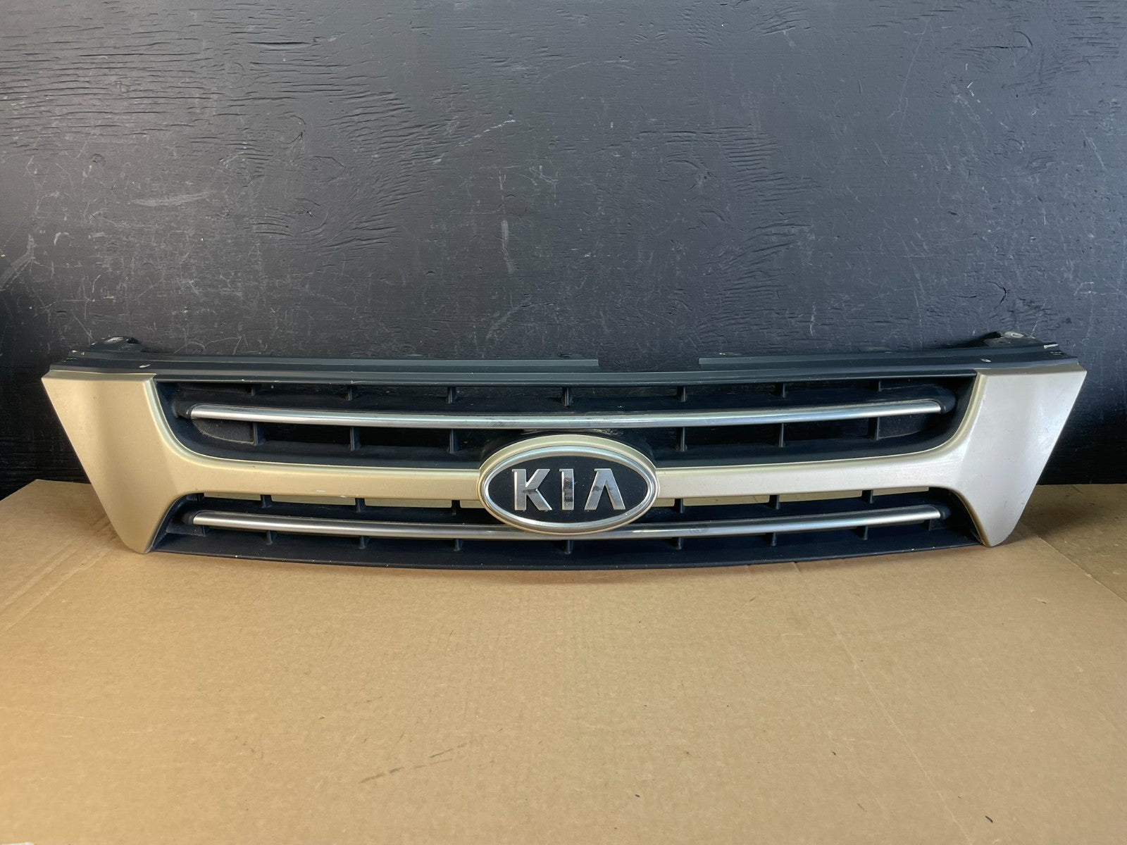 2006 to 2010 Kia Sedona Front Upper Grill Grille AC9964 DG0