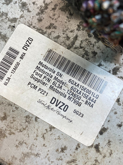 2006 Ford F-150 F150 5.4L Engine Control Unit ECU Computer Module ai4953 DG2